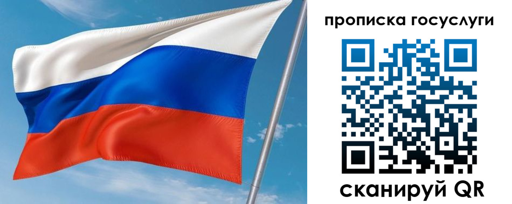 прописка в Мончегорске
